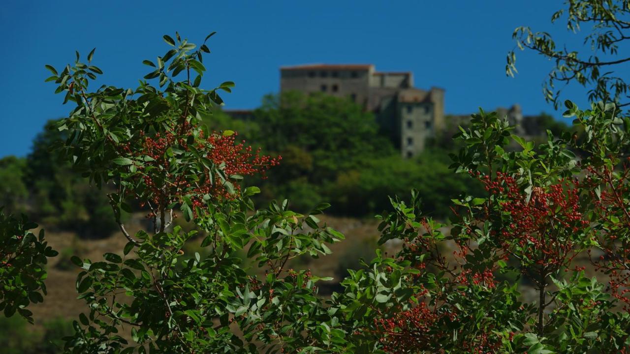 La terrazza sul lago Castel di Tora Esterno foto